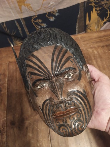 Superb male moko - superb, ta